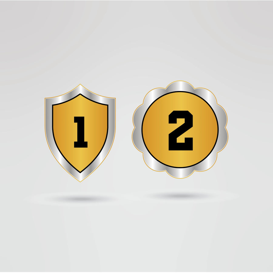 Custom CPW Lioness Tag Team Champion Belt - Championship BeltsTag TeamchampionbeltsshopChampionship BeltsStandard 2mm Thick PlatesCustom side plates 1 and 2 of CPW Lioness Tag Team Champion Belt