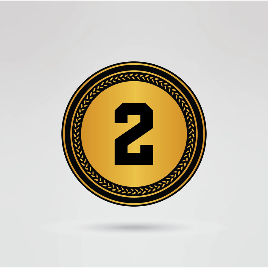 Custom CWR Lioness Champion Belt - Championship BeltsCWRchampionbeltsshopChampionship BeltsStandard 2mm Thick PlatesCustom side plate 2 of CWR Lioness Champion Belt