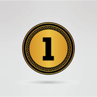 Custom CWR Lioness Champion Belt - Championship BeltsCWRchampionbeltsshopChampionship BeltsStandard 2mm Thick PlatesCustom side plate 1 and of CWR Lioness Champion Belt