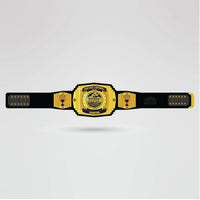 Custom Fantasy Football Champion Belt - Championship BeltsFantasy FootballchampionbeltsshopChampionship BeltsStandard 2mm Thick PlatesCustom Fantasy Football Champion Belt with golden center plate and black strap