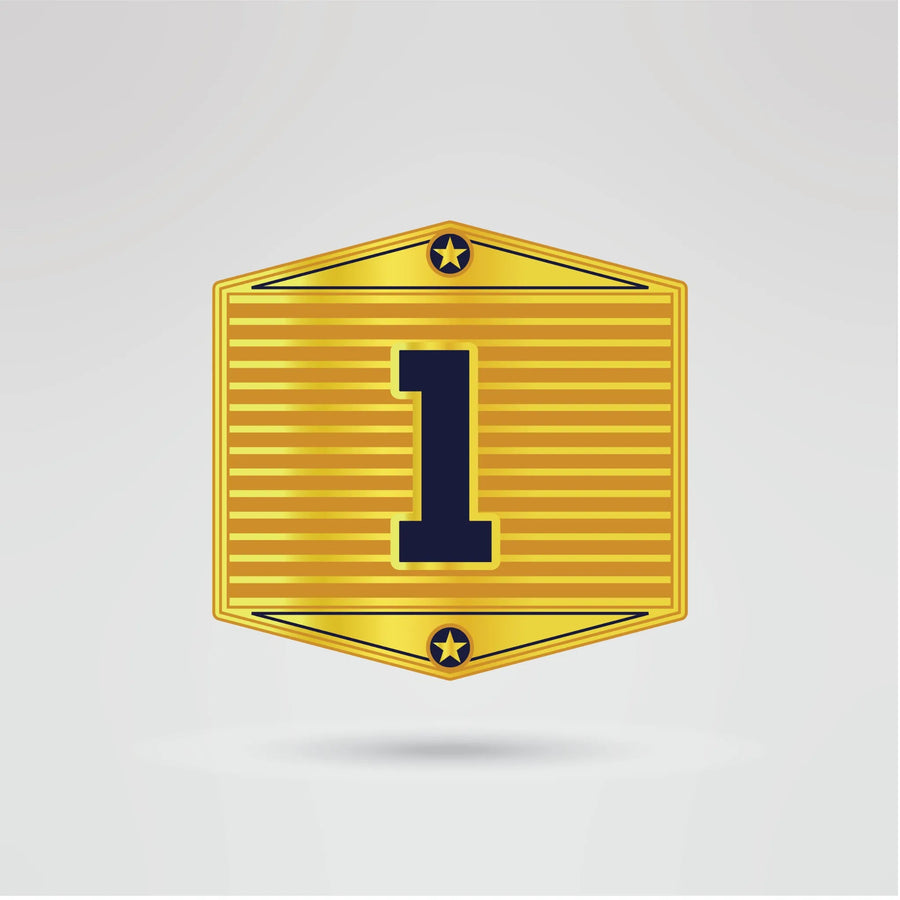 Custom Fantasy Football Champion Belt - Championship BeltsFantasy FootballchampionbeltsshopChampionship BeltsStandard 2mm Thick PlatesCustom side plates 1 of Fantasy Football Champion Belt