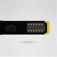 Custom Fantasy Football Champion Belt - Championship BeltsFantasy FootballchampionbeltsshopChampionship BeltsStandard 2mm Thick PlatesBlack strap design of Fantasy Football Champion Belt with premium finish