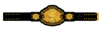 Custom Gold Champion Belt Plate – 4th Annual Event Edition - Championship BeltschampionbeltsshopChampionship BeltsstandardCustom Gold Champion Belt Plate – 4th Annual Event Edition
