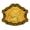 Custom Gold Champion Belt Plate – 4th Annual Event Edition - Championship BeltschampionbeltsshopChampionship BeltsstandardCustom Gold Champion Belt Plate – 4th Annual Event Edition