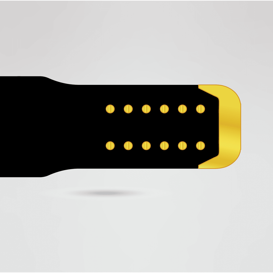 Custom IWGP Champion Wrestling Belt - Championship BeltsIWGPchampionbeltsshopChampionship BeltsStandard 2mm Thick PlatesBlack strap design of IWGP Champion Wrestling Belt with premium finish