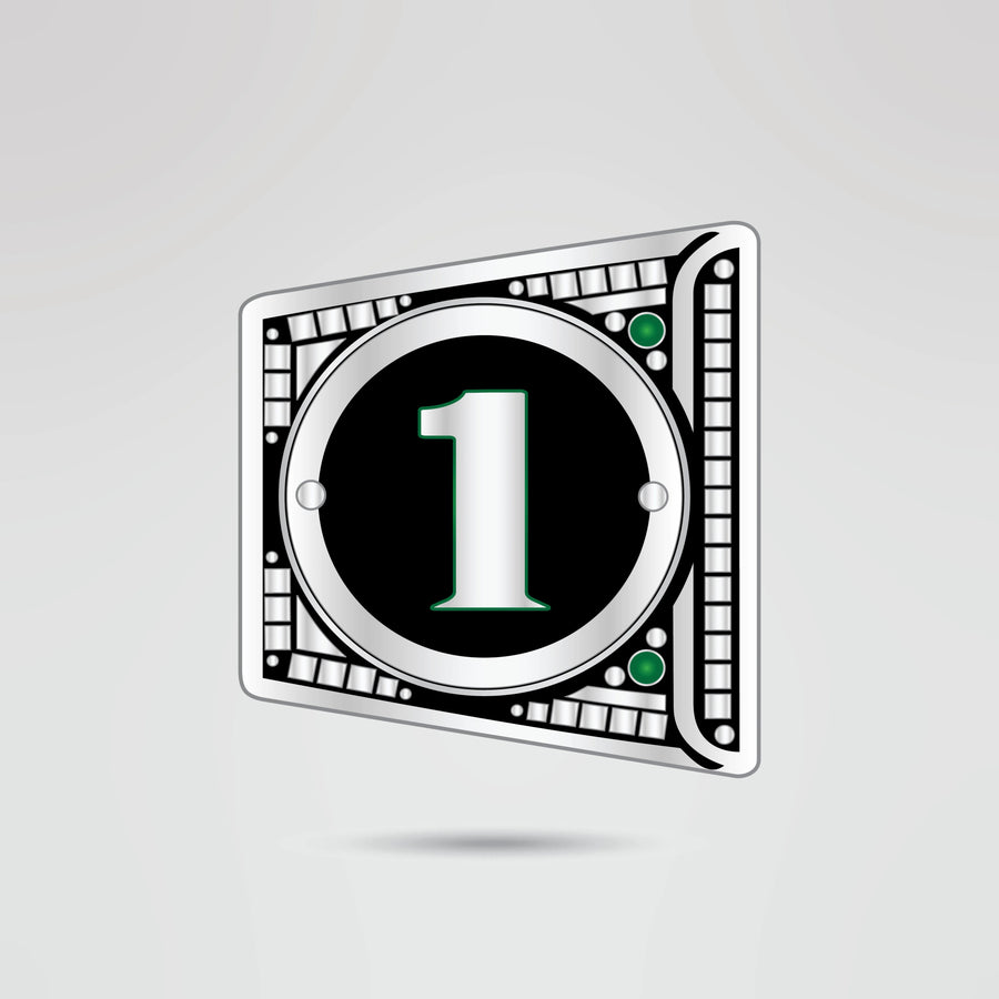 Custom Silver Championship Belt – Belt Squad Edition - Championship BeltsStandardchampionbeltsshopChampionship BeltsStandard Belt 2mm Thick PlatesCustom Silver Championship Belt – Belt Squad Edition