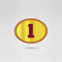 Custom Topstar Championship Belt - Championship BeltsTopstarchampionbeltsshopChampionship BeltsStandard 2mm Thick Platesright side plate of the Topstar Championship belt, fully customizable with logos, text, and designs.