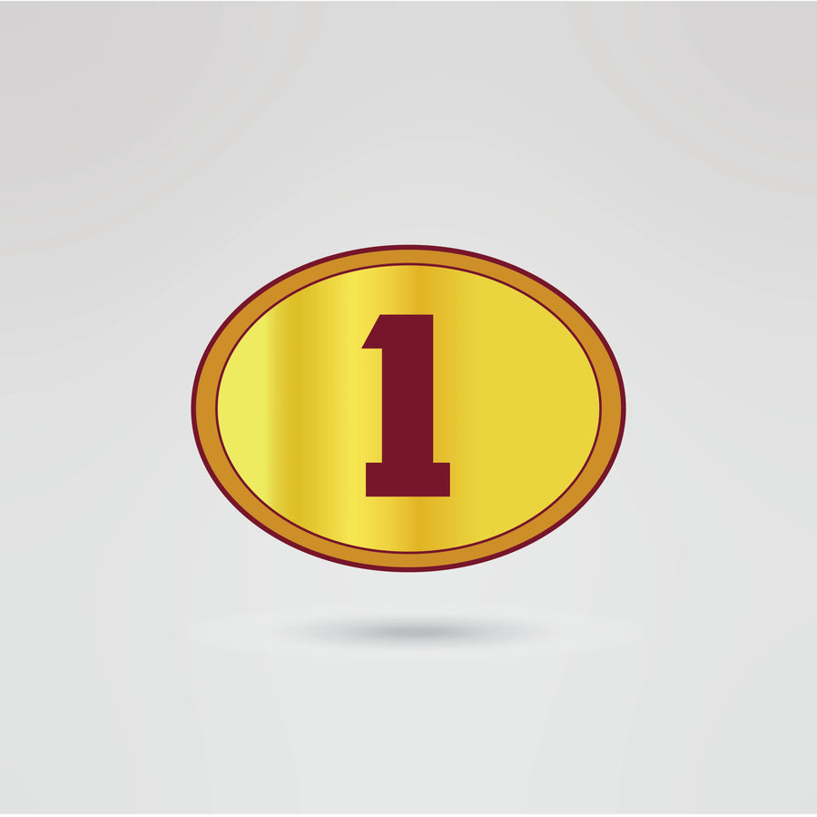 Custom Topstar Championship Belt - Championship BeltsTopstarchampionbeltsshopChampionship BeltsStandard 2mm Thick Platesright side plate of the Topstar Championship belt, fully customizable with logos, text, and designs.