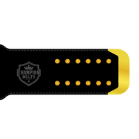 Mid - Atlantic Tag Team Wrestling Champion Belt Plate – Classic Gold & Black Edition - Championship BeltschampionbeltsshopChampionship BeltsstandardMid - Atlantic Tag Team Wrestling Champion Belt Plate – Classic Gold & Black Edition