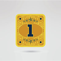 Auburn University Custom Championship Belt