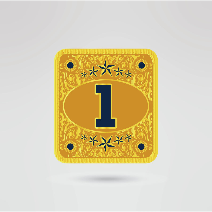 Auburn University Custom Championship Belt