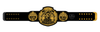 Stone Cold Steve Austin "Texas Rattlesnake" Tribute Belt Plate – Gold Edition - Championship BeltschampionbeltsshopChampionship BeltsstandardStone Cold Steve Austin "Texas Rattlesnake" Tribute Belt Plate – Gold Edition