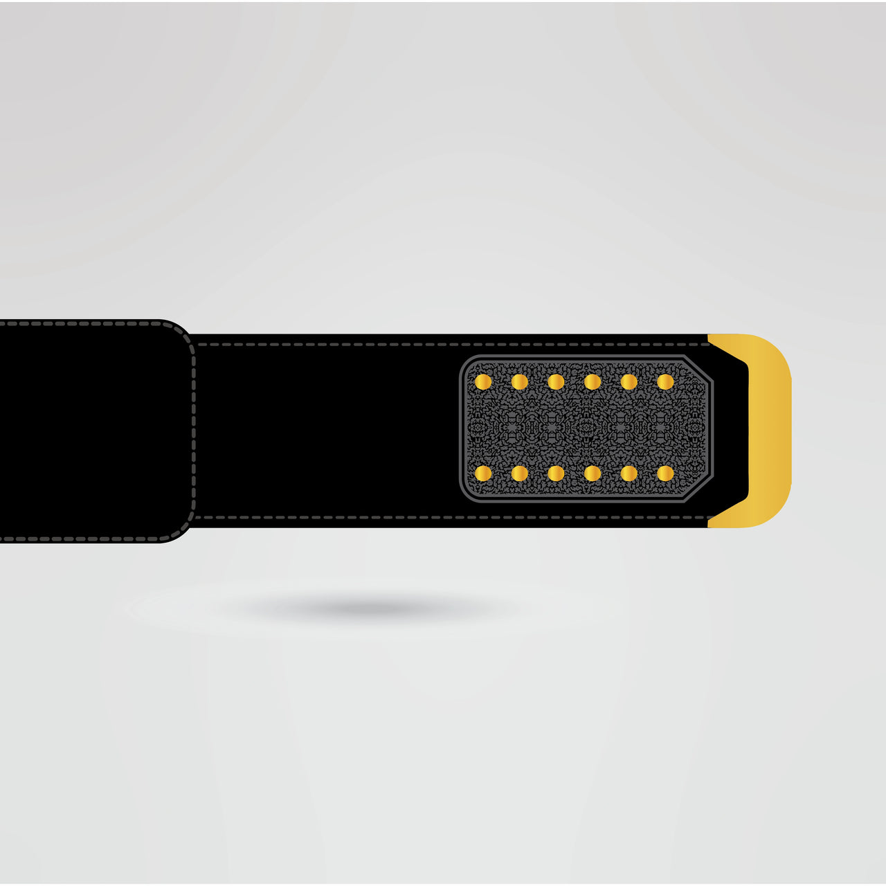 Auburn University Custom Championship Belt