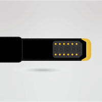 Auburn University Custom Championship Belt