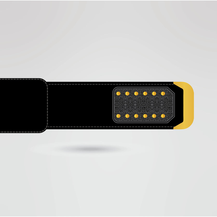 Auburn University Custom Championship Belt