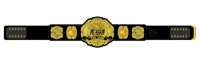 WrestlePro Alaska Tag Team Championship Belt Plate – Gold Edition - Championship BeltschampionbeltsshopChampionship BeltsStandardWrestlePro Alaska Tag Team Championship Belt Plate – Gold Edition
